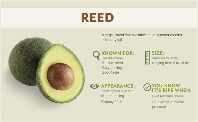 Reed avocado 1588979065