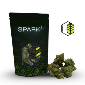 Dobo's Triangle - Prepackaged 1/8th