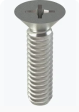 SCREW,MACH,FBH,SS,.25-20X.75  324765