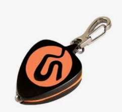 THE LOGO KEY CHAIN