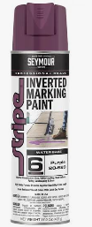 SEYMOUR  PURPLE