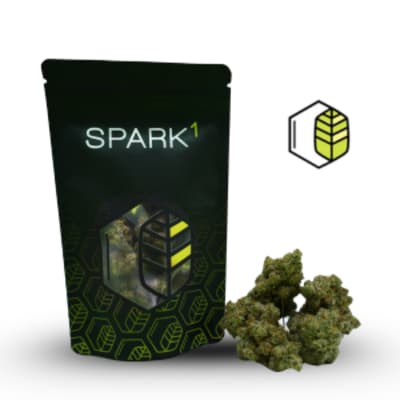 Mango Mintality - Prepackaged 1/8th