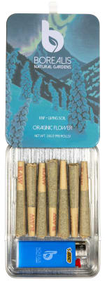 Cuban Black Haze 7pk w/Lighter