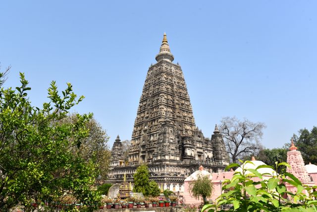 1 Night 2 Days Bodh Gaya Special Tour