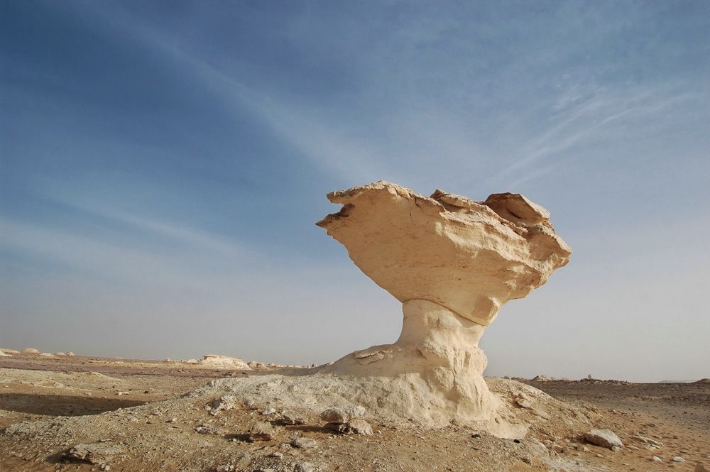 Steve Han Photography