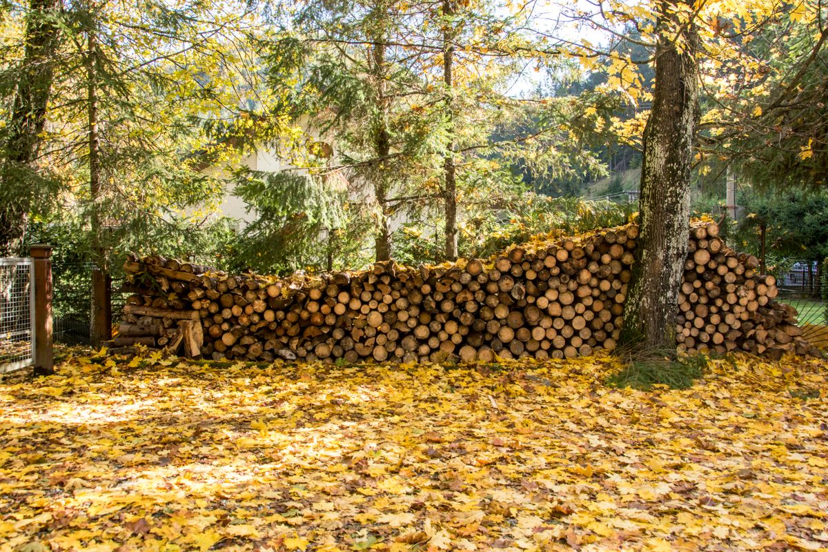 Fall Home Maintenance Checklist for Canadian Homeowners (Before the First Freeze): Priority 6: Yard, garage, and gear