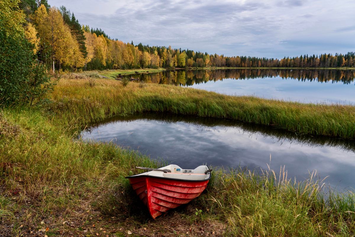 Thanksgiving Long Weekend Getaways in Canada (Oct 10–12): Peak Foliage Edition: 2. Algonquin & Muskoka, Ontario, the canoe trip