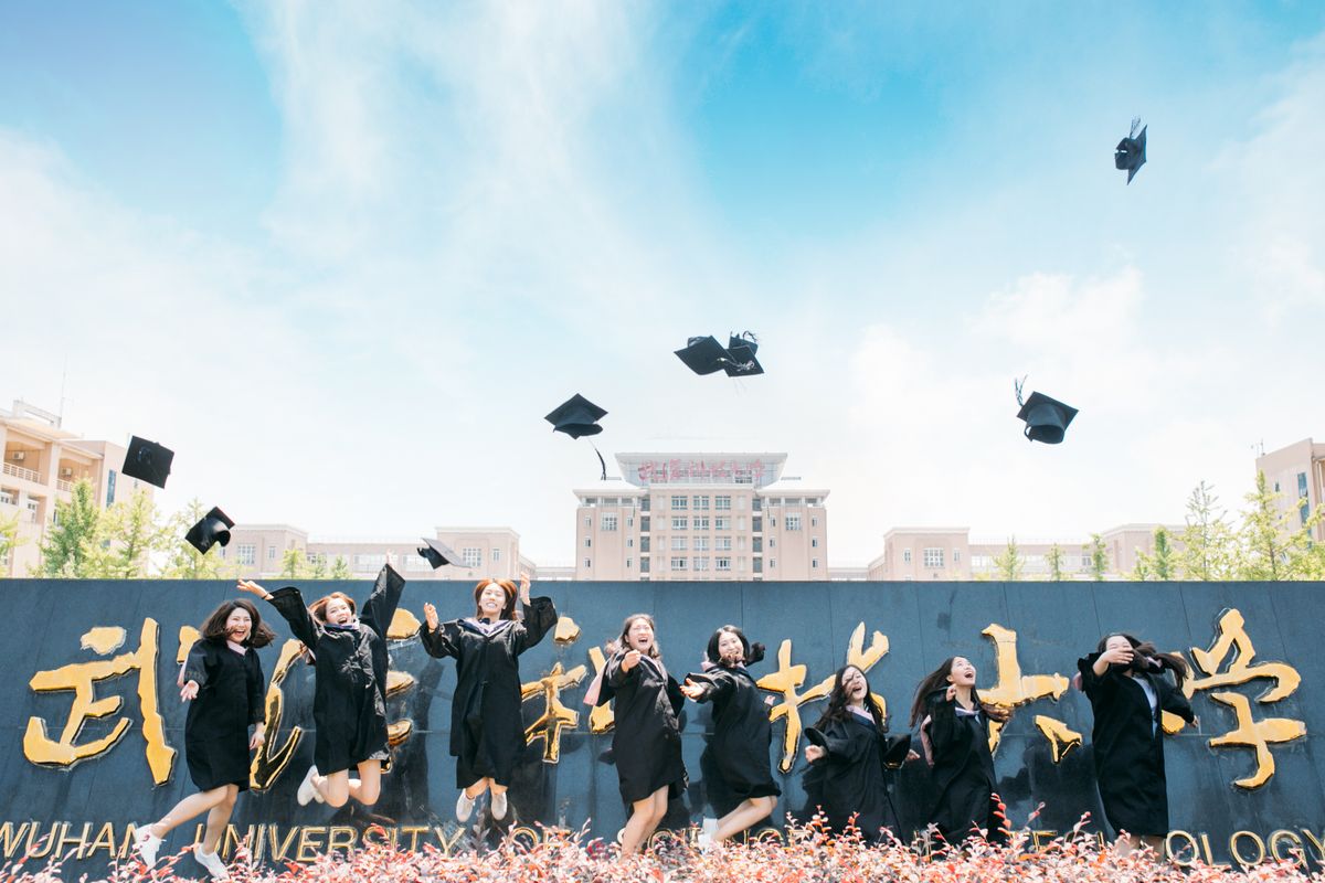 Canada's International Student Collapse: Enrolment Down 40%, What Changed: What this means for the sector, and for prospective students