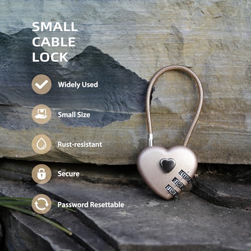 Vue 3 de Up Security Cadenas