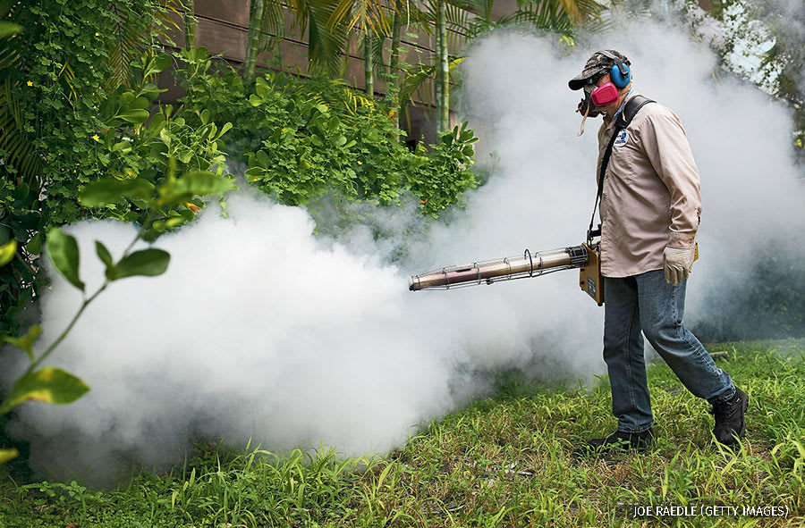 Mosquito Control