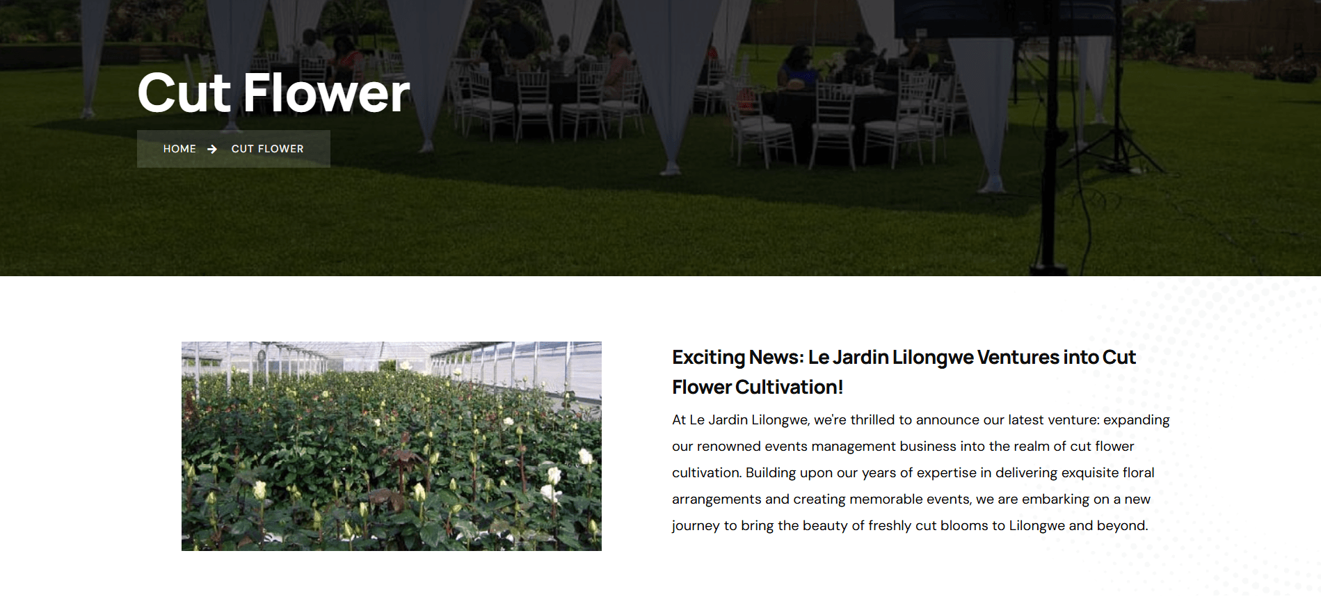 Le Jardin Lilongwe