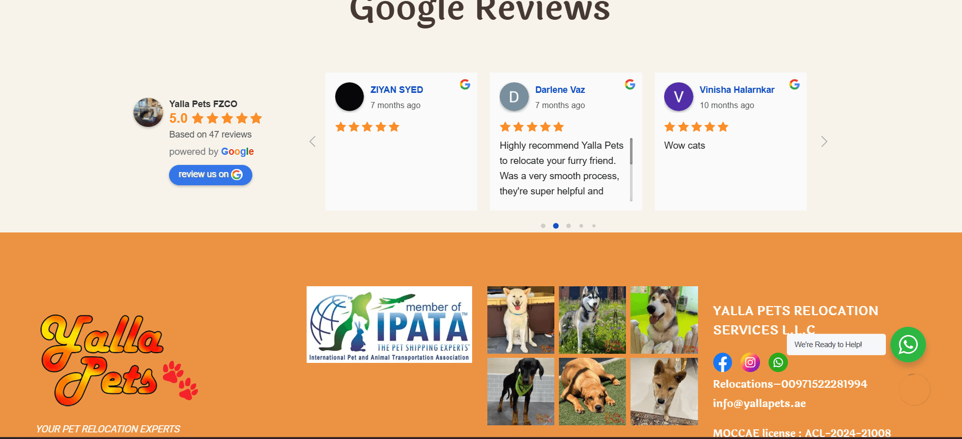 Yalla Pets gallery image 1