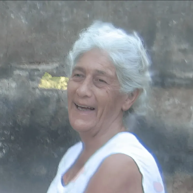 BENTA LEITE PEREIRA