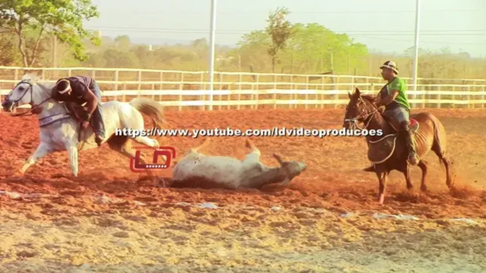 Descrição da imagem