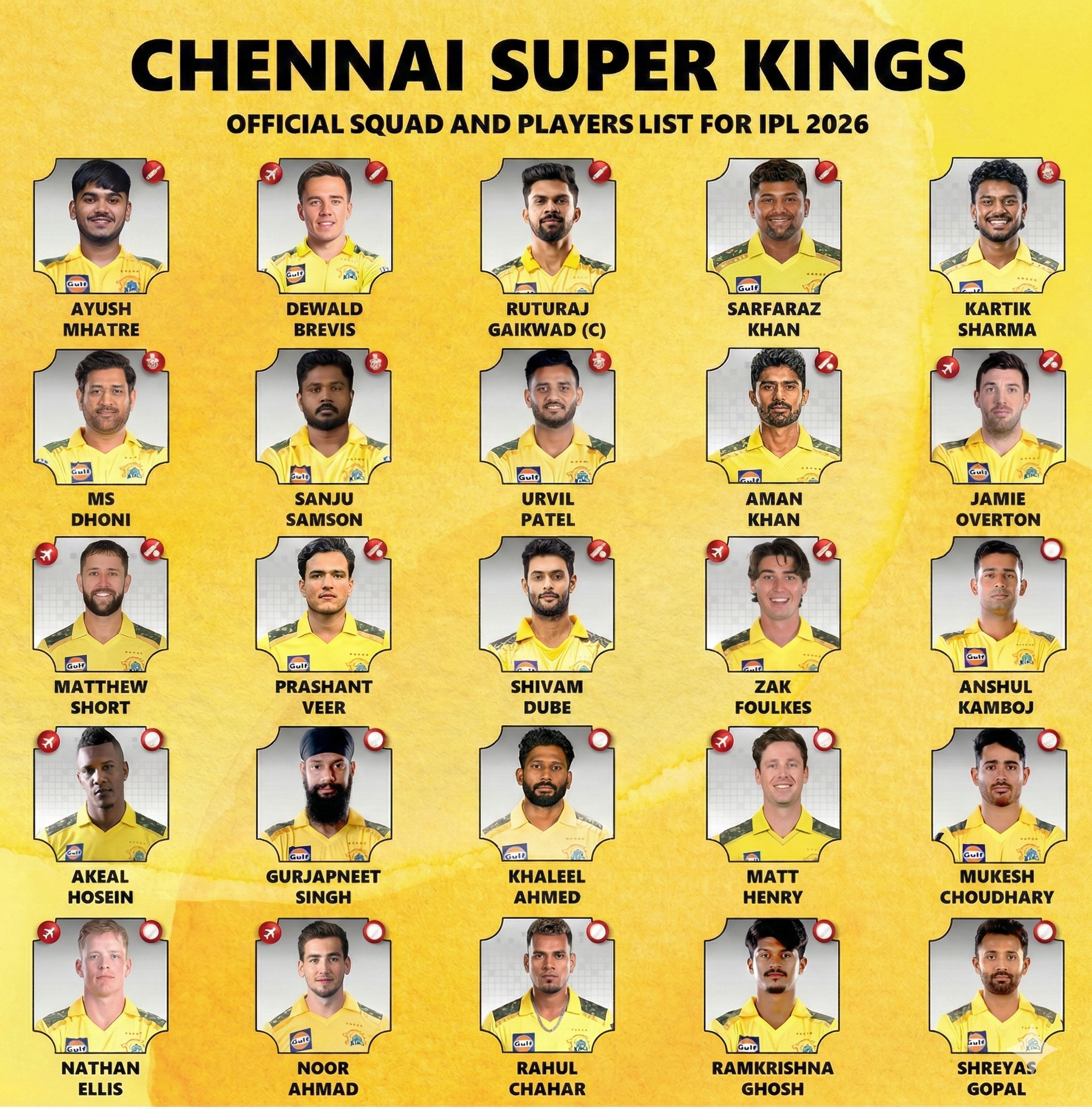 CSK Player Grid