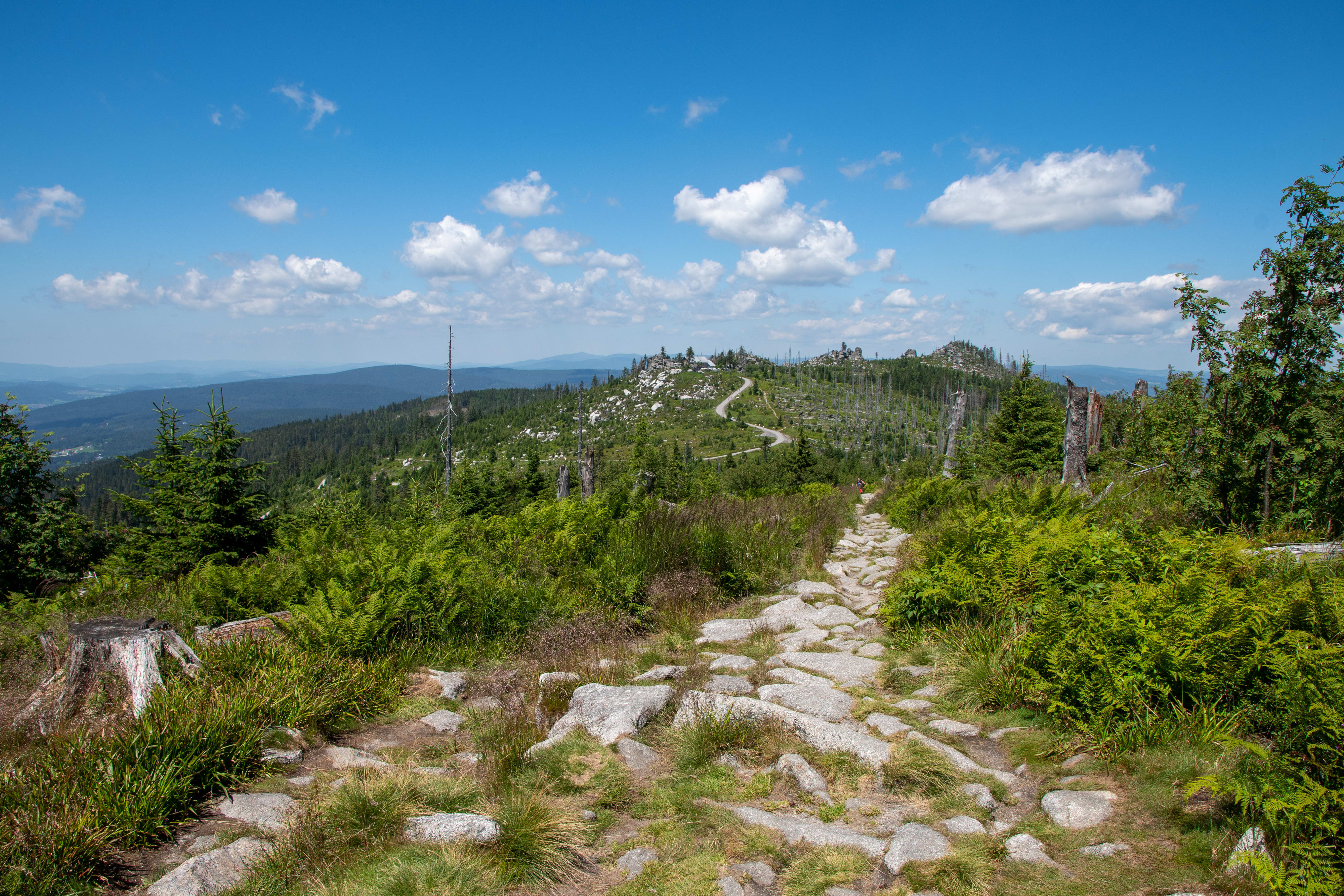 A rocky way along the Dreiländereck. On the left side is the Czech Republic, on the right side is Austria and behind the back is Germany.