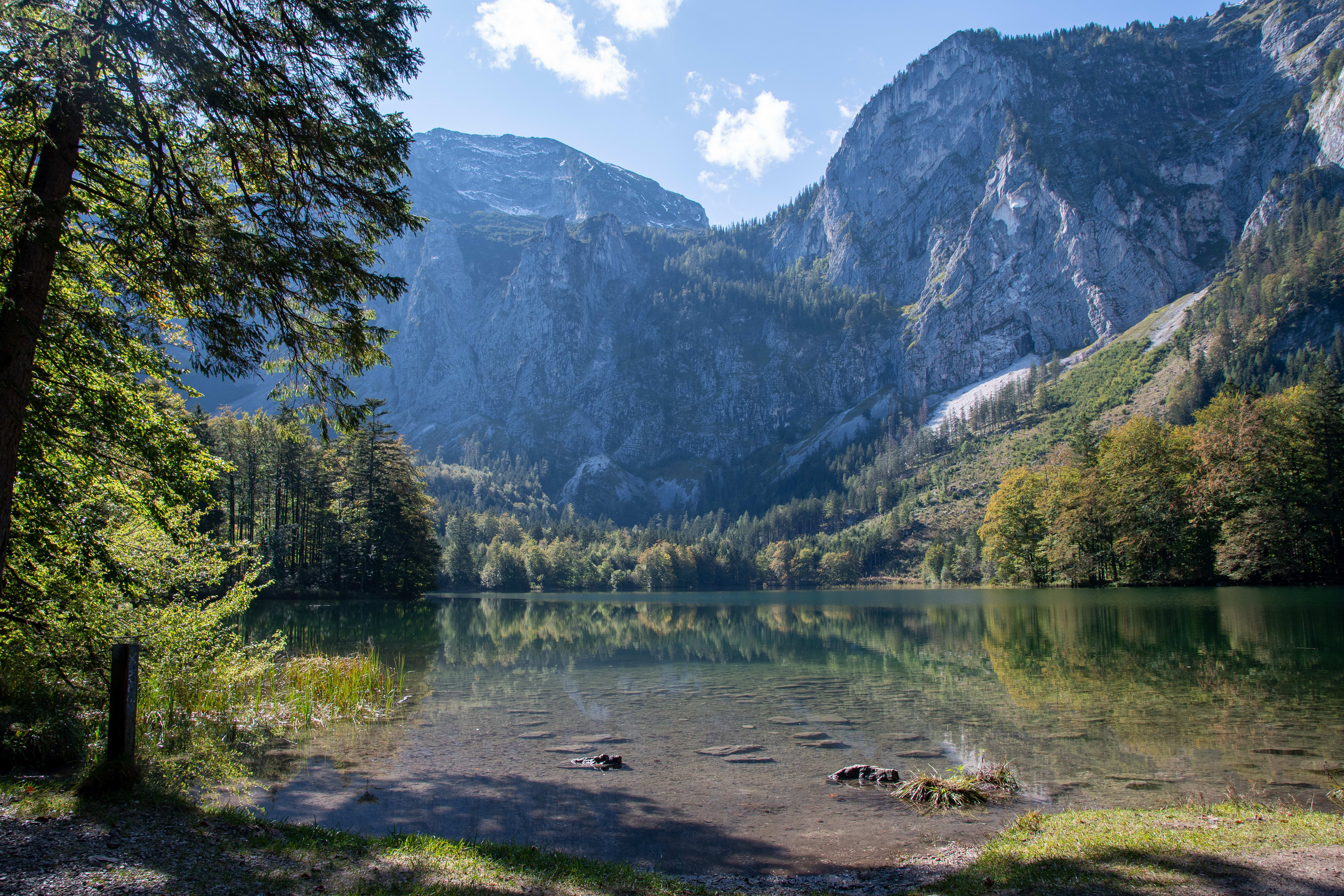 The hinterer Langbathsee next to the forest.