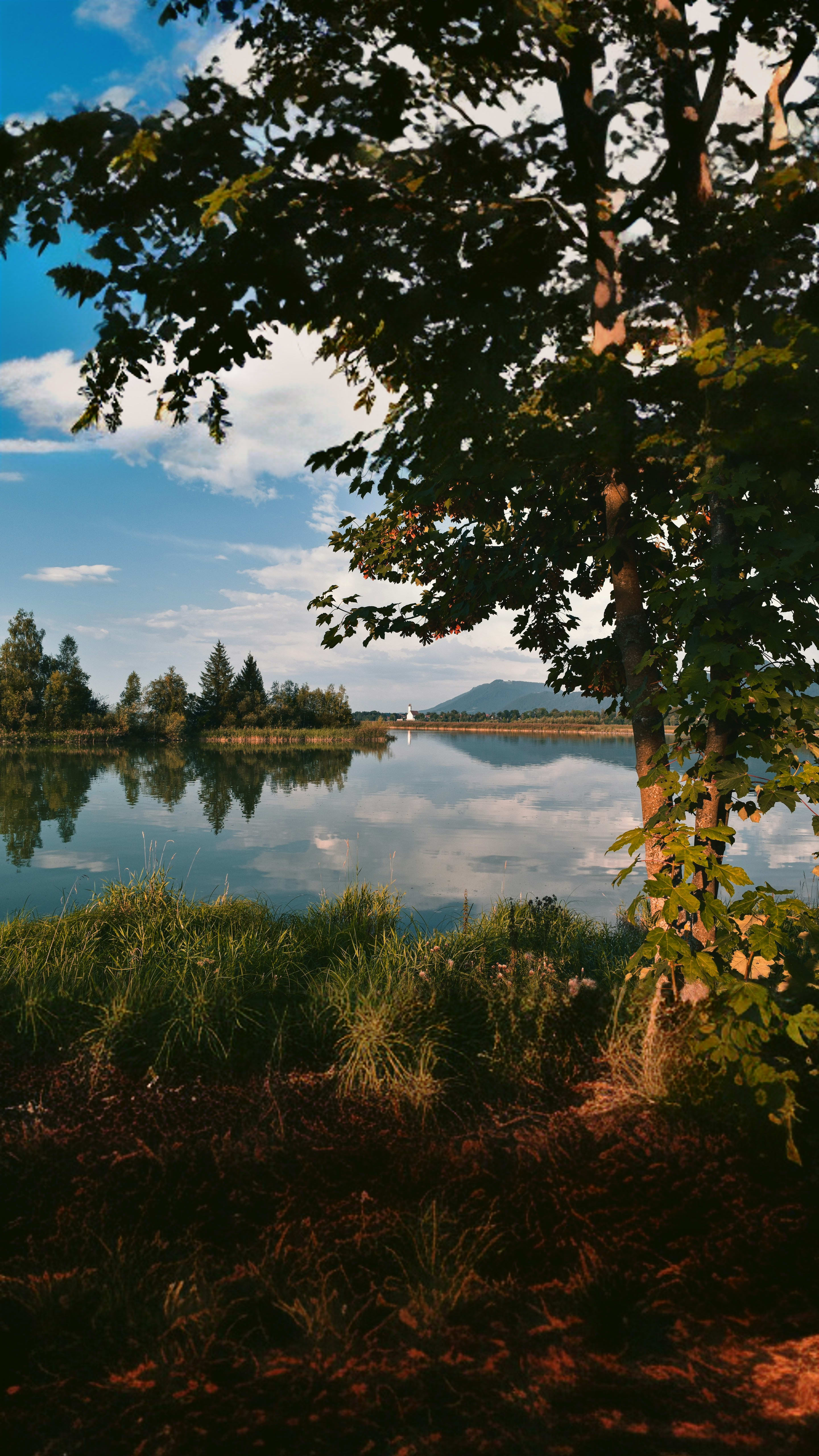 Lago