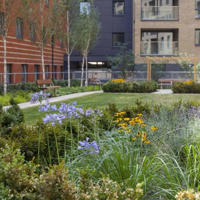 Thumbnail Lush communal gardens at Fizzy Walthamstow with seating and colorful flowers