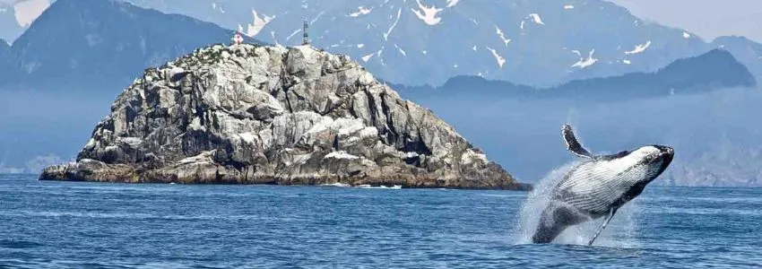 Kenai Fjords National Park
