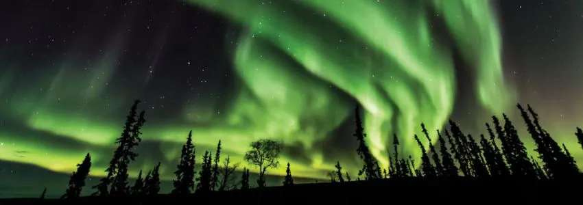 Northern Lights in Fairbanks