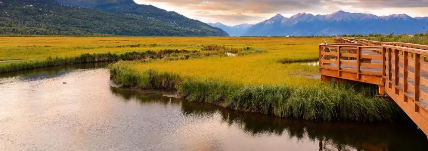 Potter Marsh Bird Sanctuary