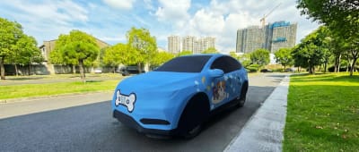 Blue character custom car cover