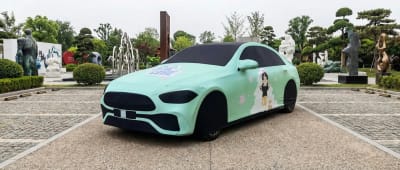 Mint green custom art car cover