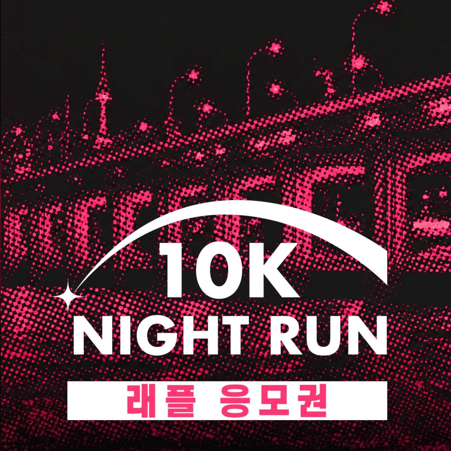 2026 잠수교 10K 나이트런