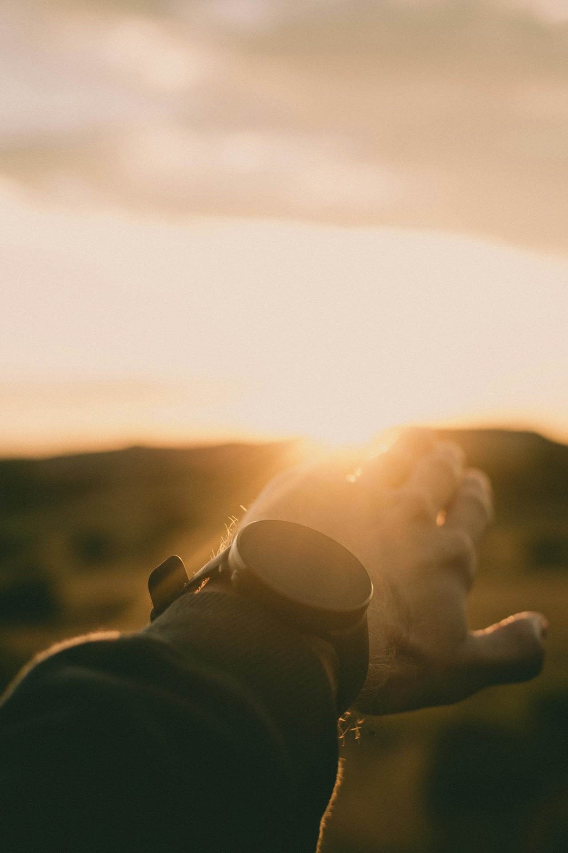 당신의 러닝을 바꿀 국내 러닝 앱 완전 정복