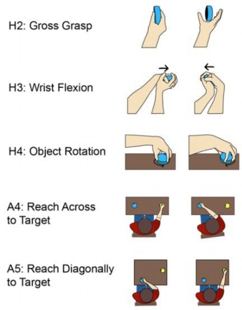 FitMi Home Therapy Program for PC/Mac