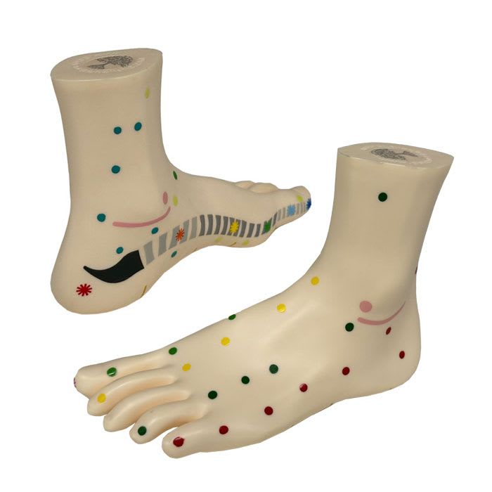 Golden Egg Holistic Reflexology Foot Models - Adult