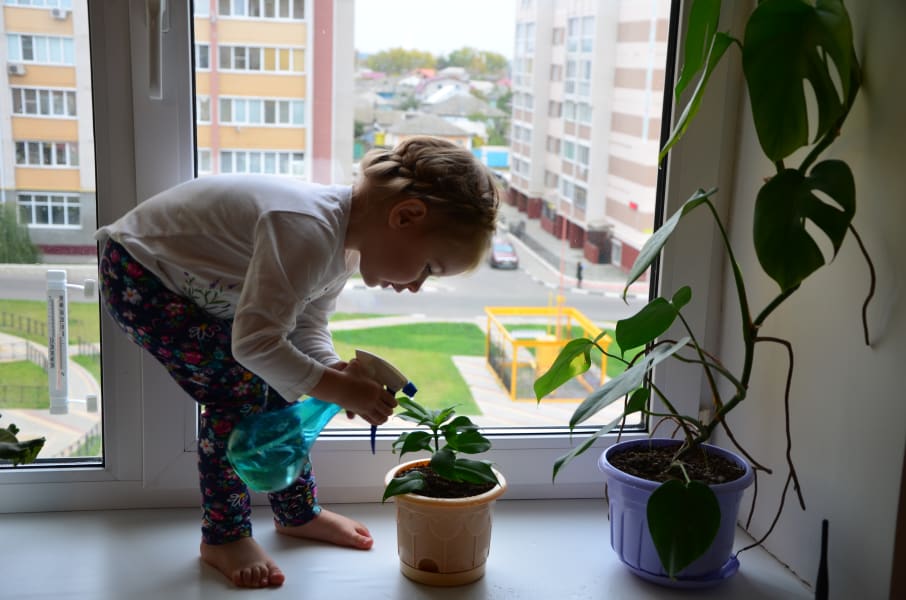 Вся Австралия с островами Фрейзер и Тасмания: 26 тыс км на авто (много фото)