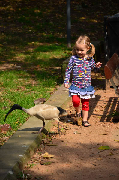 Вся Австралия с островами Фрейзер и Тасмания: 26 тыс км на авто (много фото)