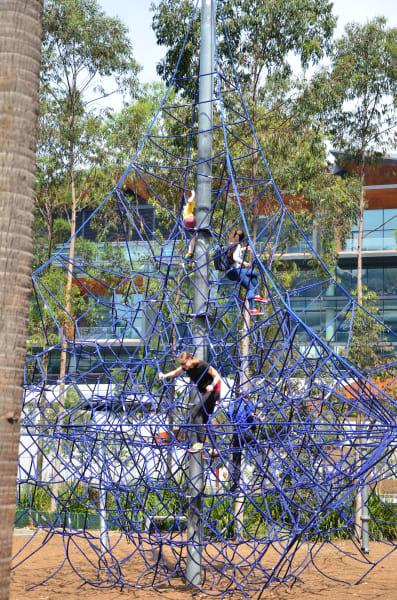 Вся Австралия с островами Фрейзер и Тасмания: 26 тыс км на авто (много фото)