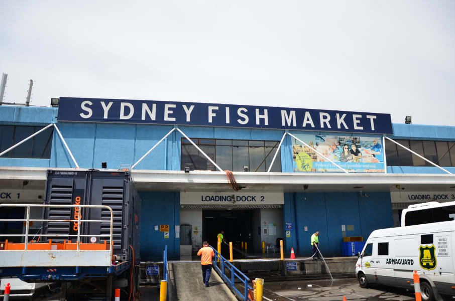 Вся Австралия с островами Фрейзер и Тасмания: 26 тыс км на авто (много фото)