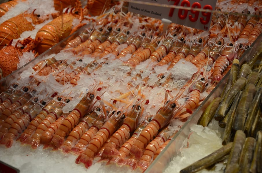 Вся Австралия с островами Фрейзер и Тасмания: 26 тыс км на авто (много фото)