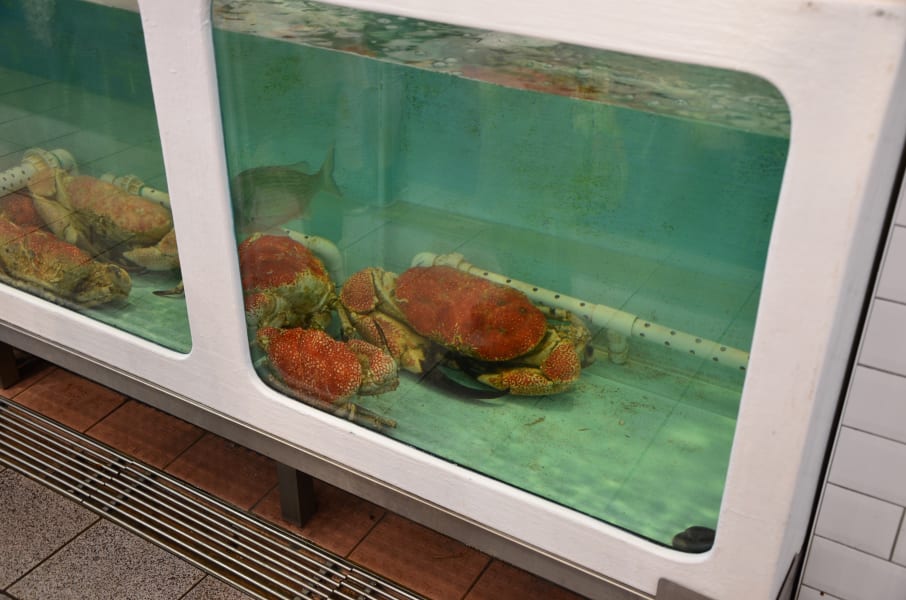 Вся Австралия с островами Фрейзер и Тасмания: 26 тыс км на авто (много фото)