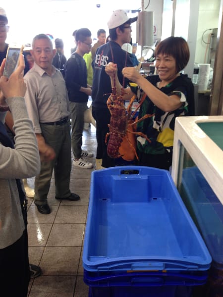 Вся Австралия с островами Фрейзер и Тасмания: 26 тыс км на авто (много фото)