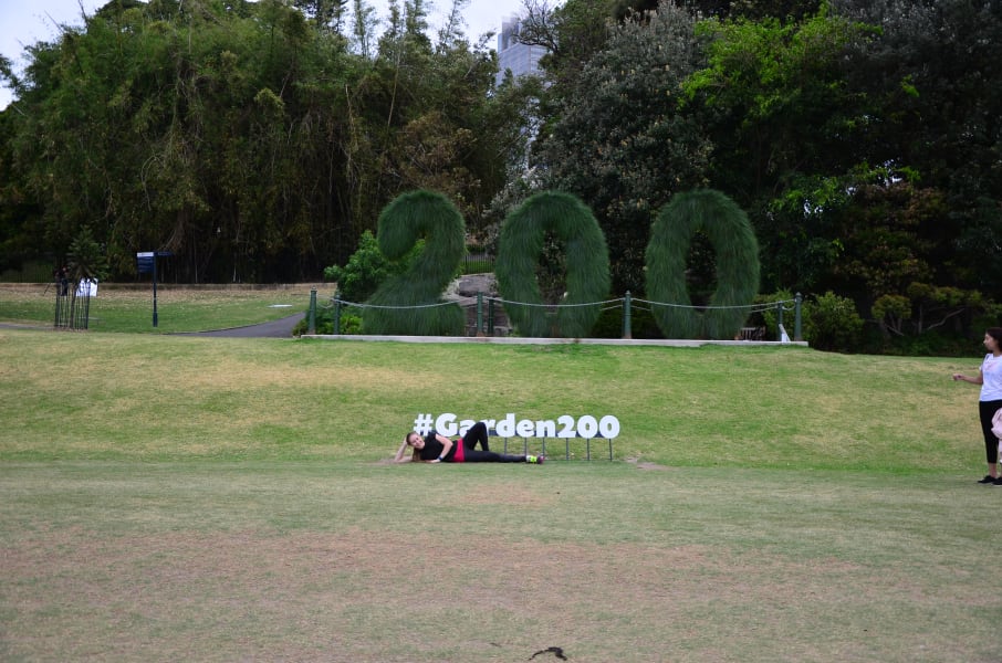 Вся Австралия с островами Фрейзер и Тасмания: 26 тыс км на авто (много фото)