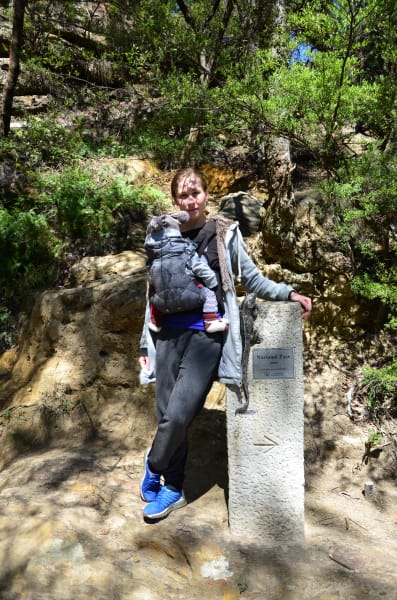 Вся Австралия с островами Фрейзер и Тасмания: 26 тыс км на авто (много фото)