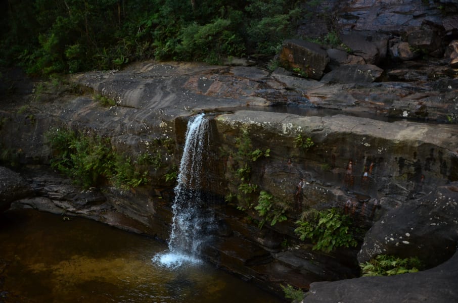 Вся Австралия с островами Фрейзер и Тасмания: 26 тыс км на авто (много фото)