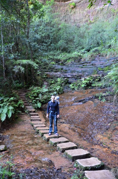Вся Австралия с островами Фрейзер и Тасмания: 26 тыс км на авто (много фото)
