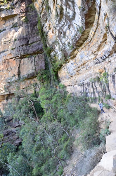 Вся Австралия с островами Фрейзер и Тасмания: 26 тыс км на авто (много фото)