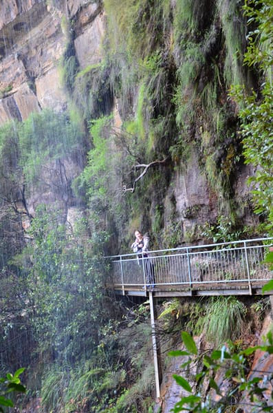 Вся Австралия с островами Фрейзер и Тасмания: 26 тыс км на авто (много фото)