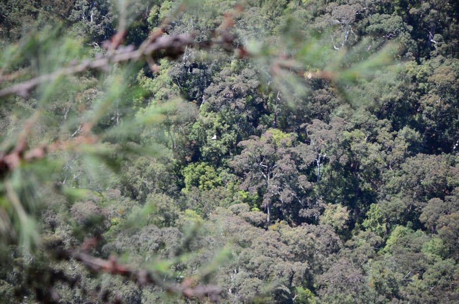 Вся Австралия с островами Фрейзер и Тасмания: 26 тыс км на авто (много фото)