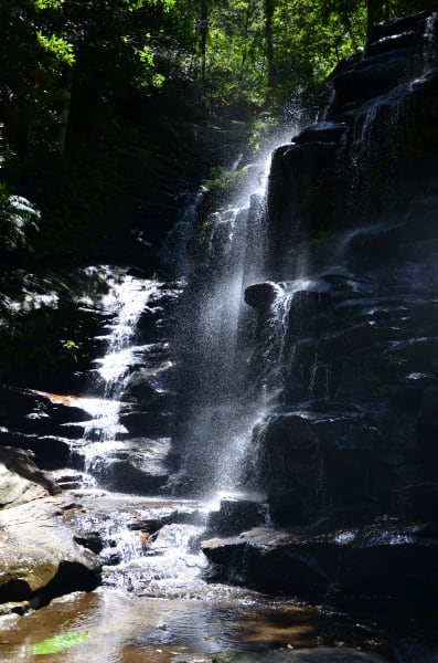 Вся Австралия с островами Фрейзер и Тасмания: 26 тыс км на авто (много фото)