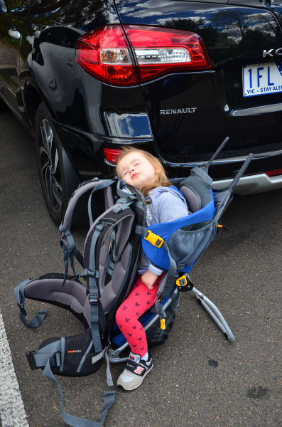 Вся Австралия с островами Фрейзер и Тасмания: 26 тыс км на авто (много фото)