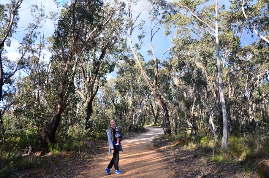 Вся Австралия с островами Фрейзер и Тасмания: 26 тыс км на авто (много фото)