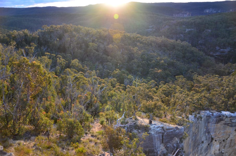 Вся Австралия с островами Фрейзер и Тасмания: 26 тыс км на авто (много фото)